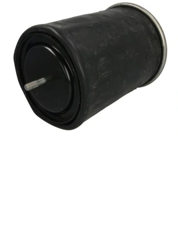 AIR BELLOW DIFF RENAULT 5010294307